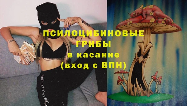mdpv Новозыбков