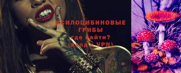 mdpv Новозыбков