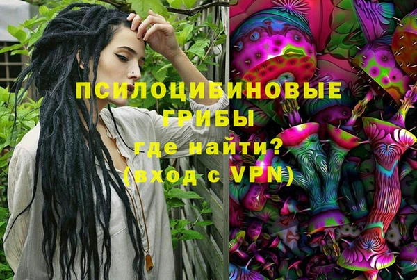 трава Вуктыл