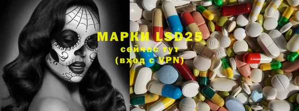 apvp Гатчина