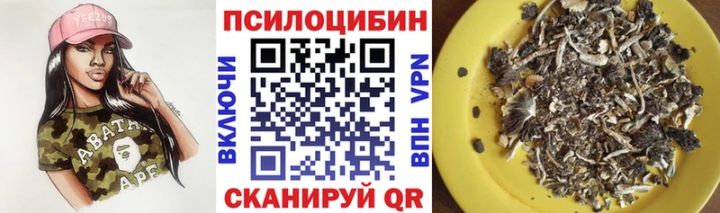 Псилоцибиновые грибы GOLDEN TEACHER Петровск-Забайкальский
